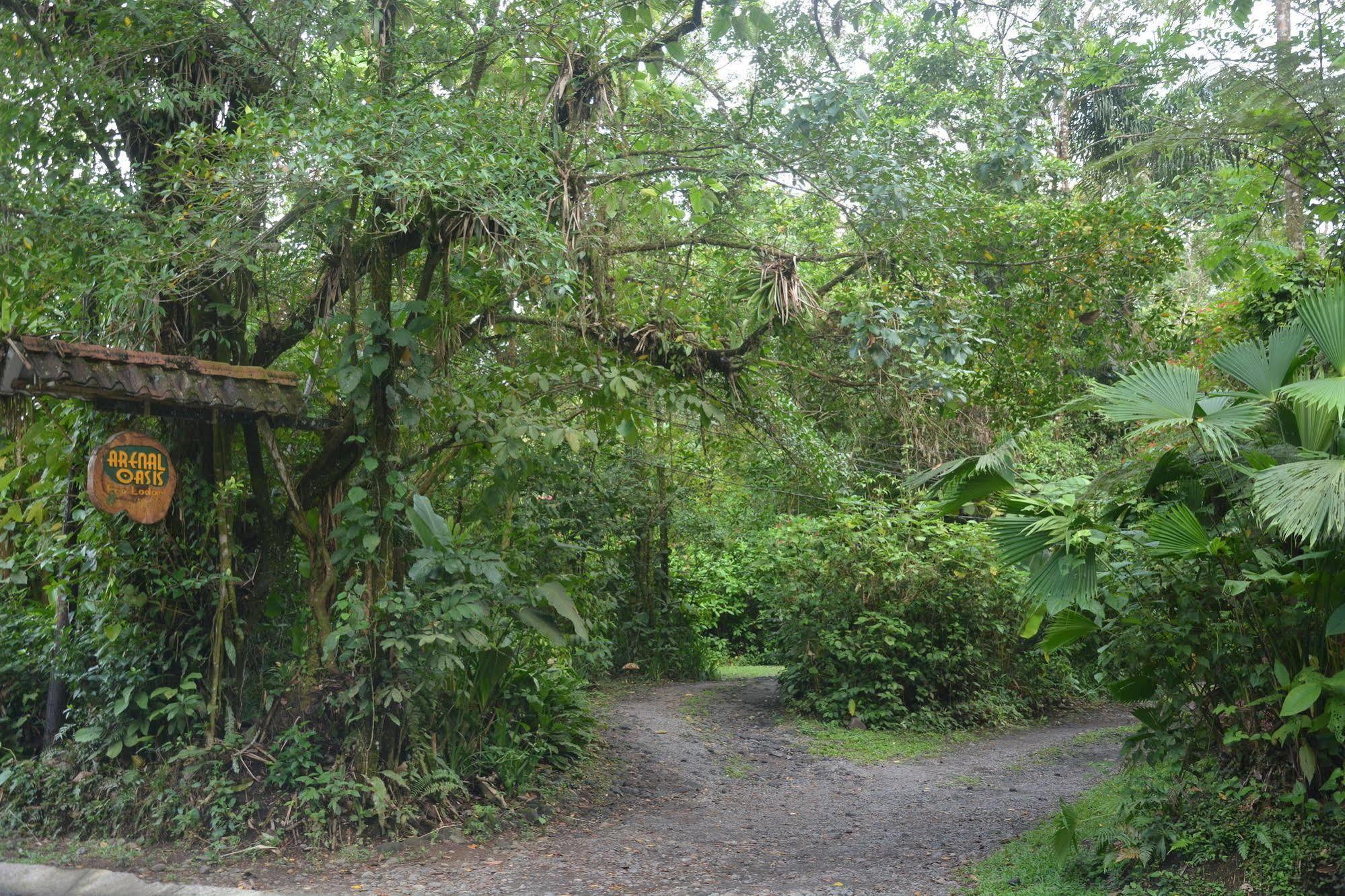 Hotel Arenal Oasis