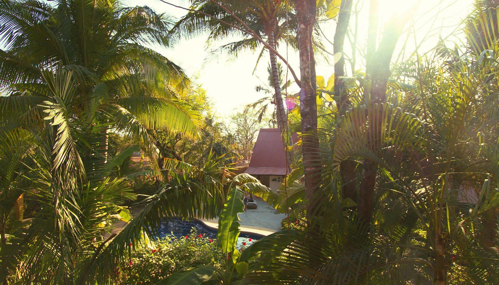 The Sunset Shack Hotel 3*