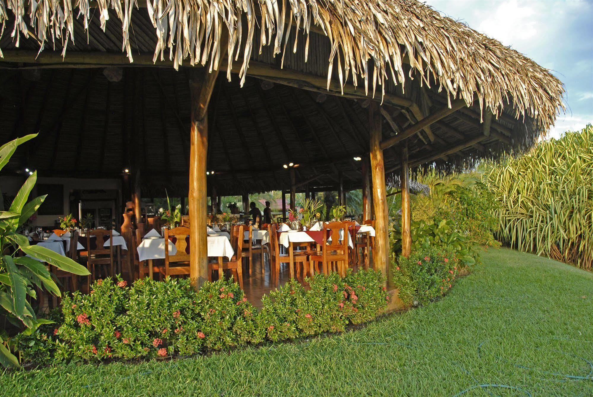 Guacamaya * Paraiso (Guanacaste)