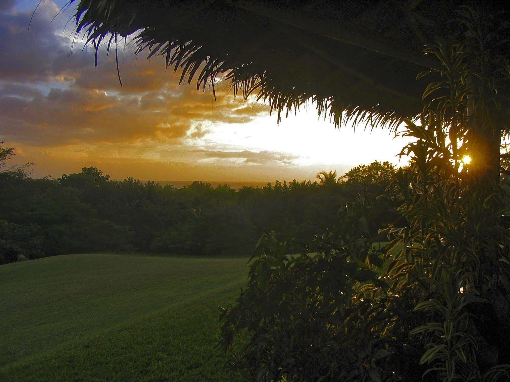 Guacamaya Lodge *