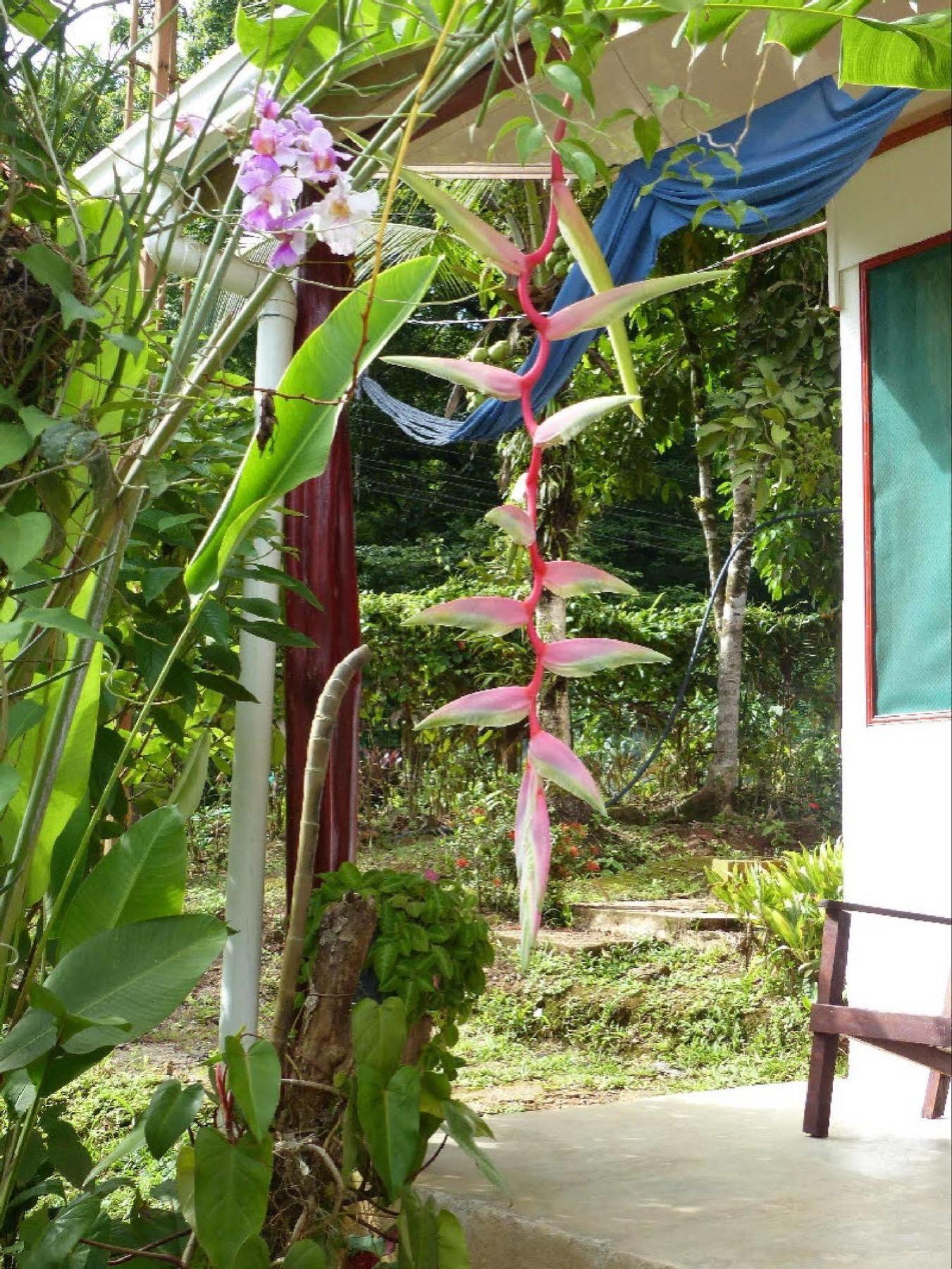Cabinas Casa Miriam