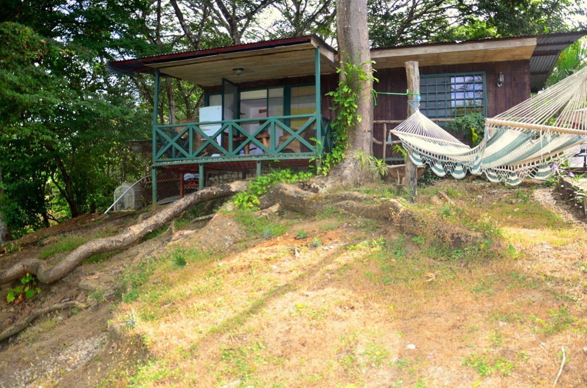 Bed & Breakfast La Puerto Carrillo
