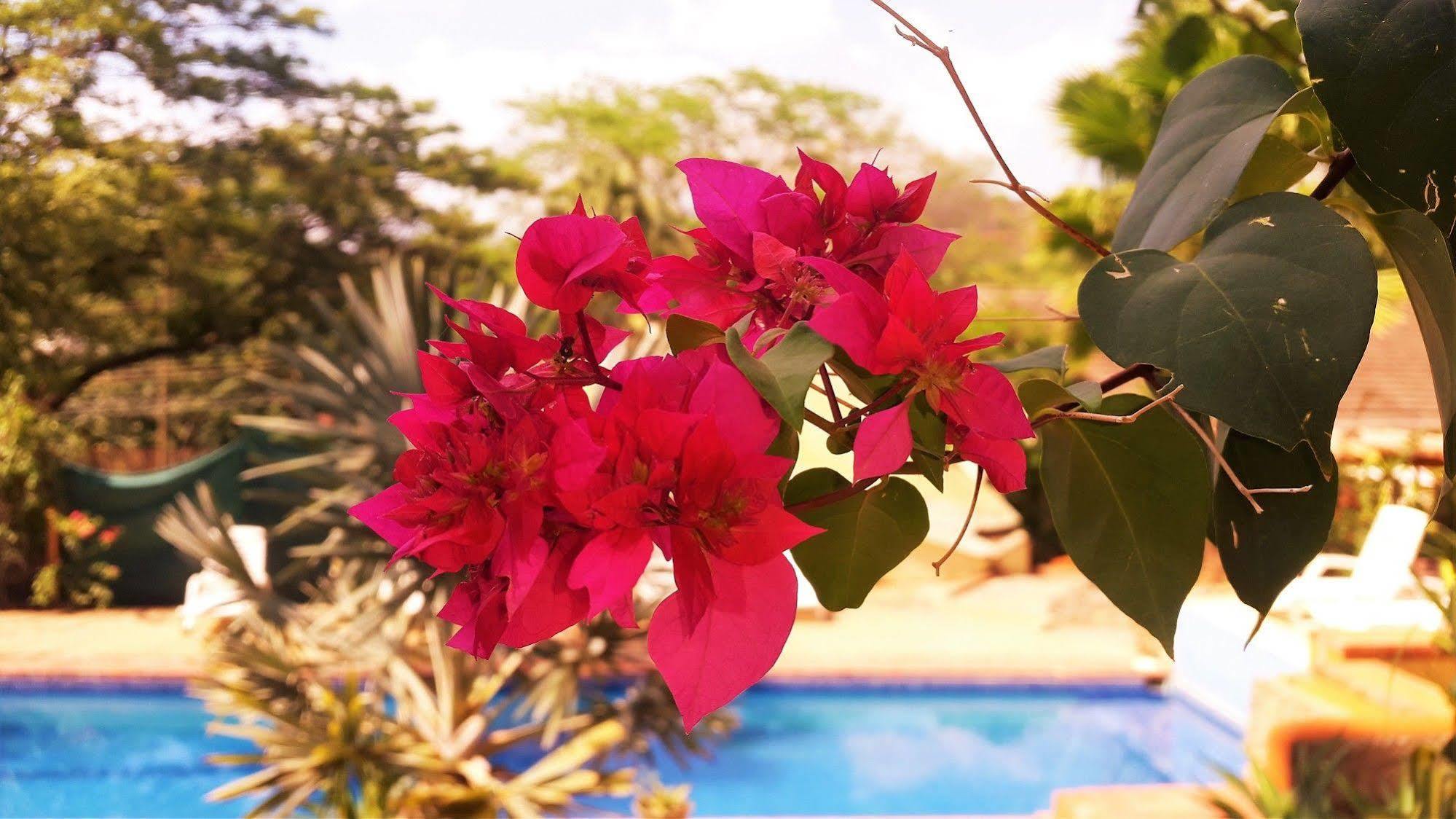 Nahua 3* Potrero (Guanacaste)