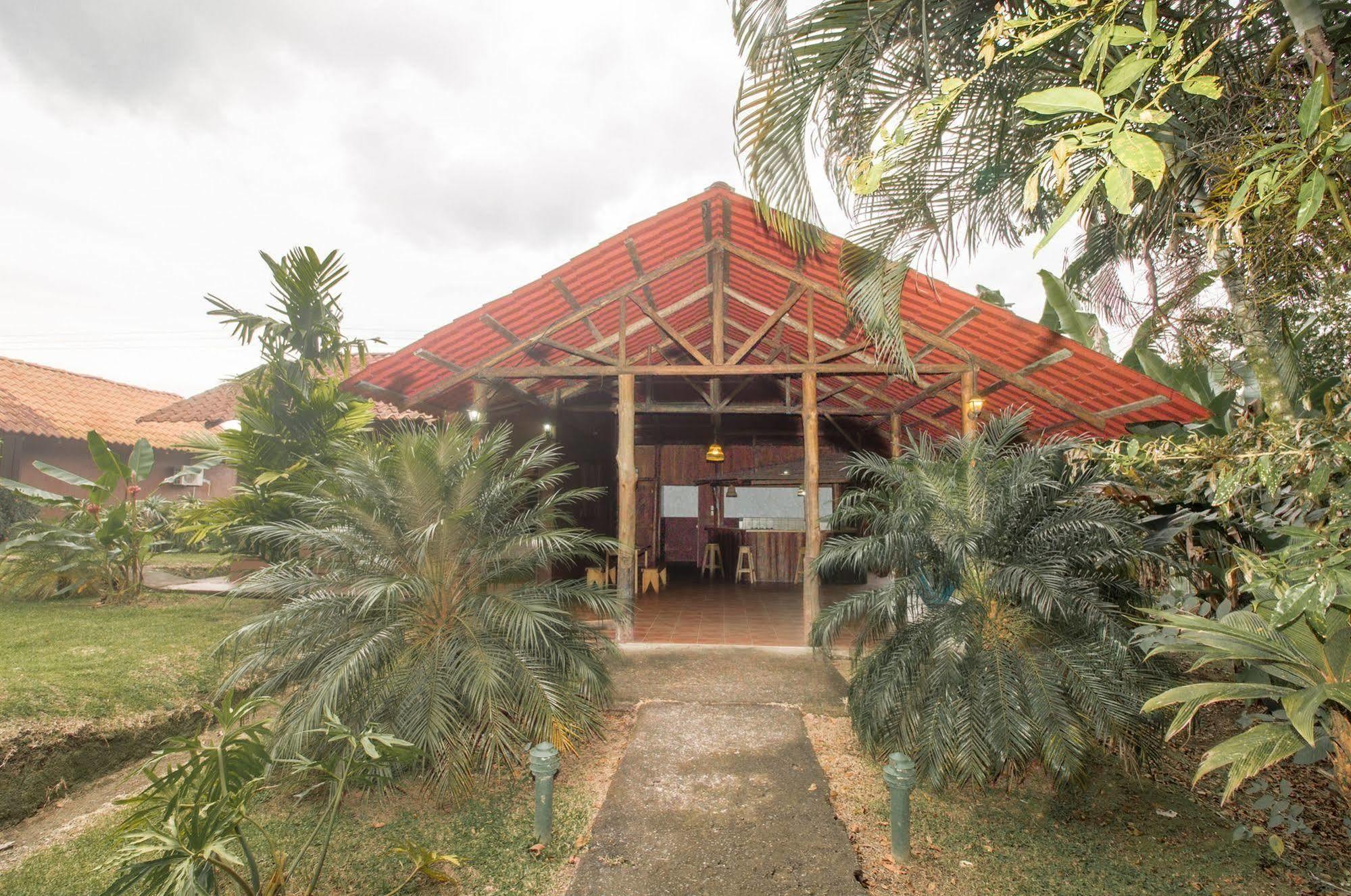 Arenal *