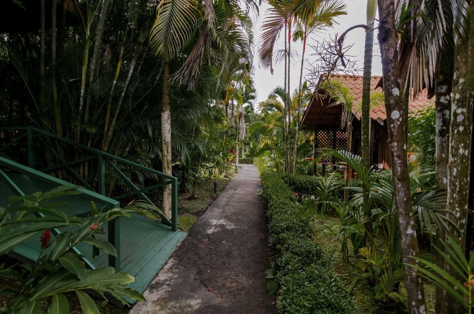 Arenal Lodge *