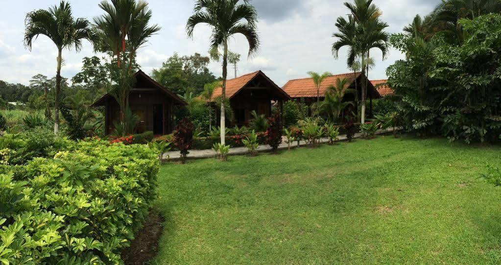 Arenal