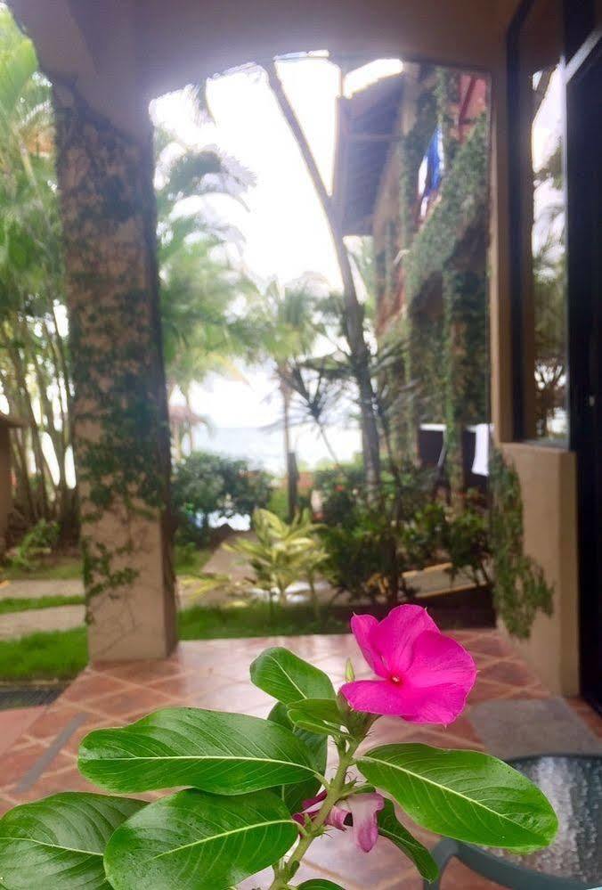 The Backyard Hotel Jaco