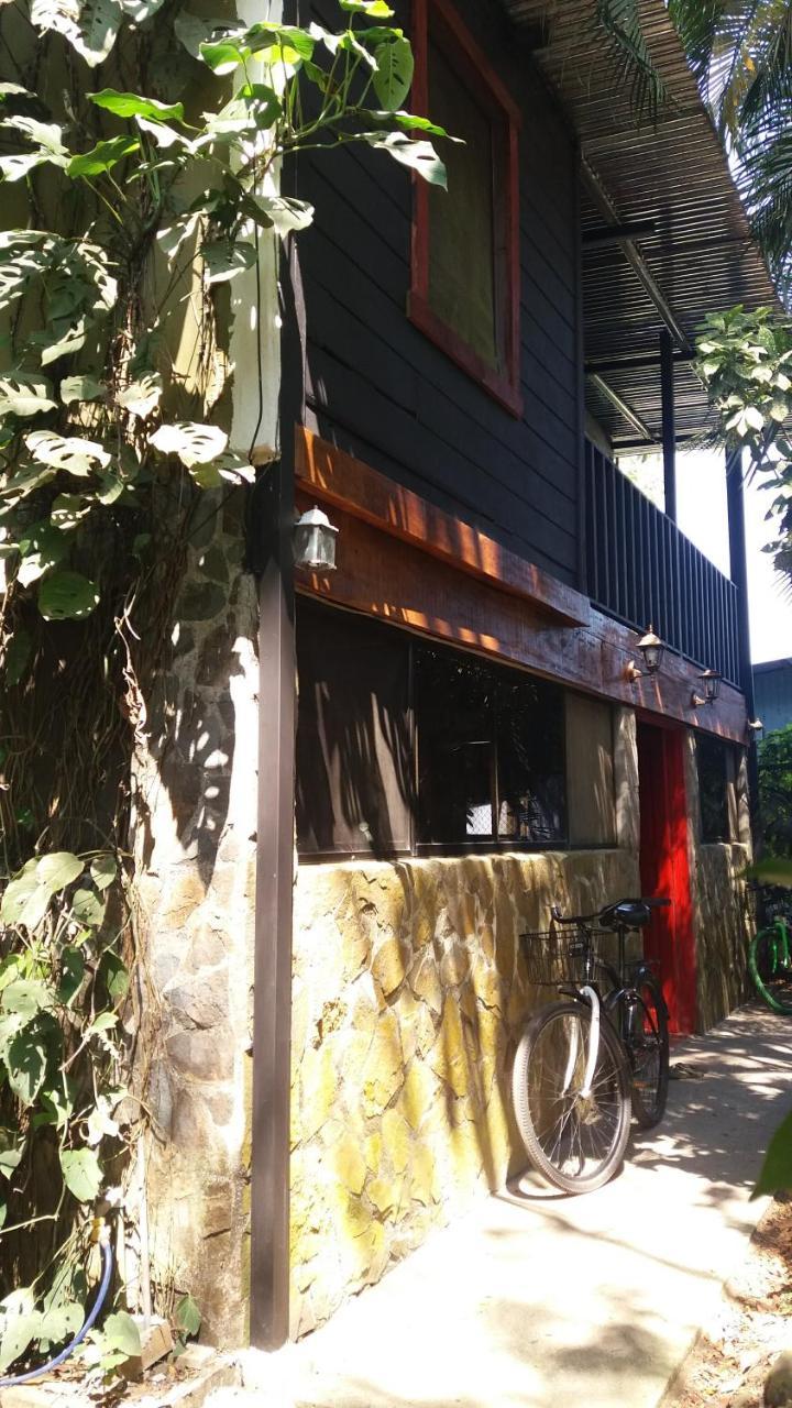 Casajungla