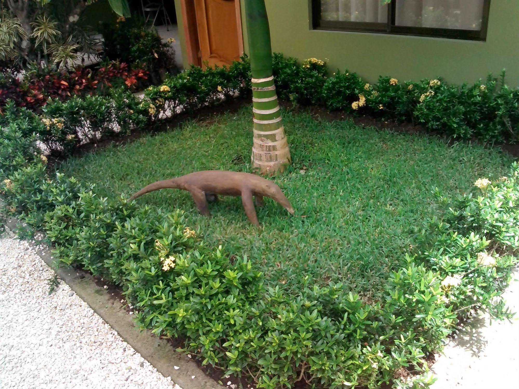 Backpackers * La Fortuna