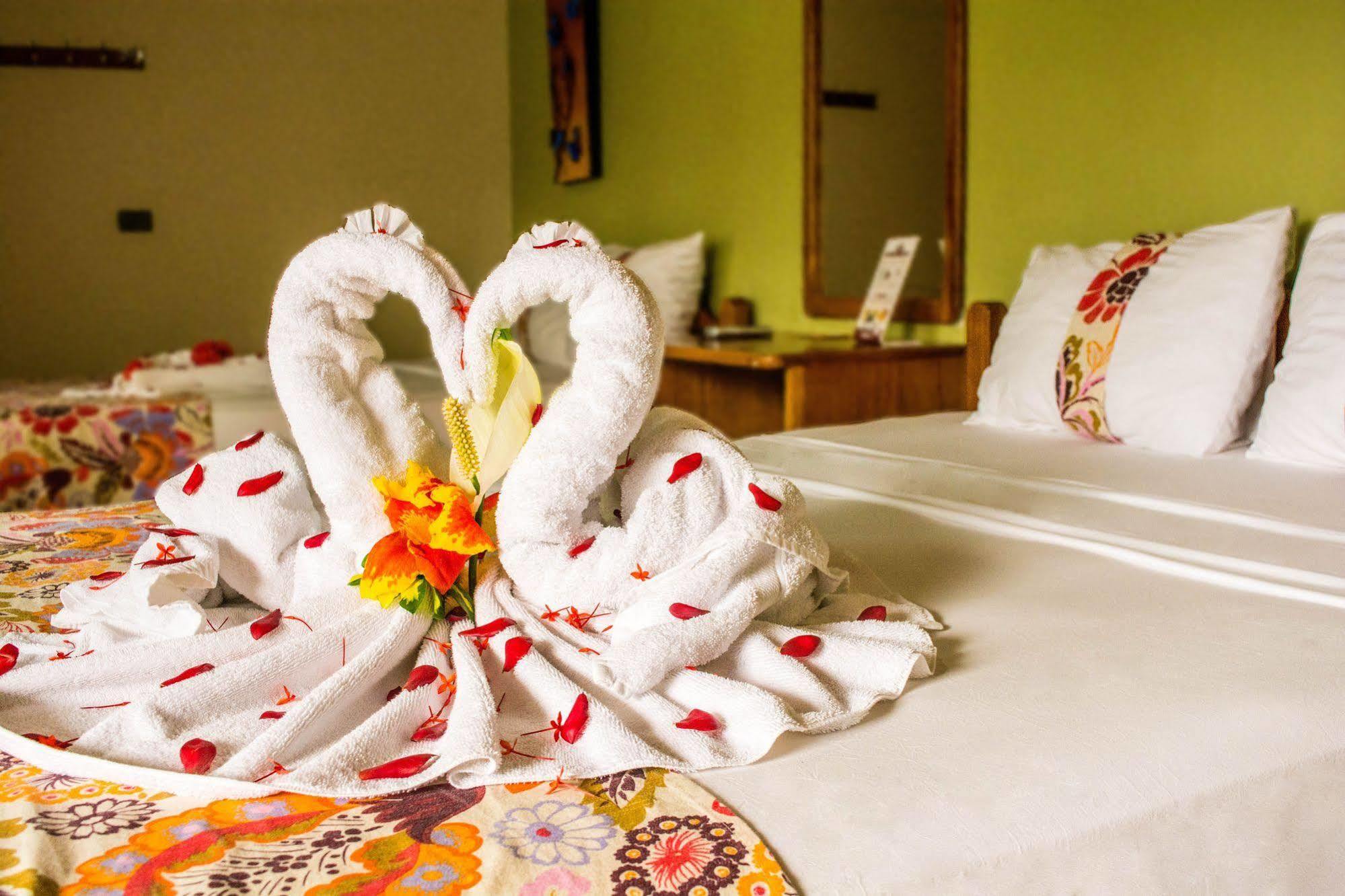 Backpackers Hostel