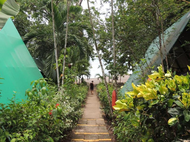 Corcovado Adventures Tent Camp Hotel Ciudad Cortes