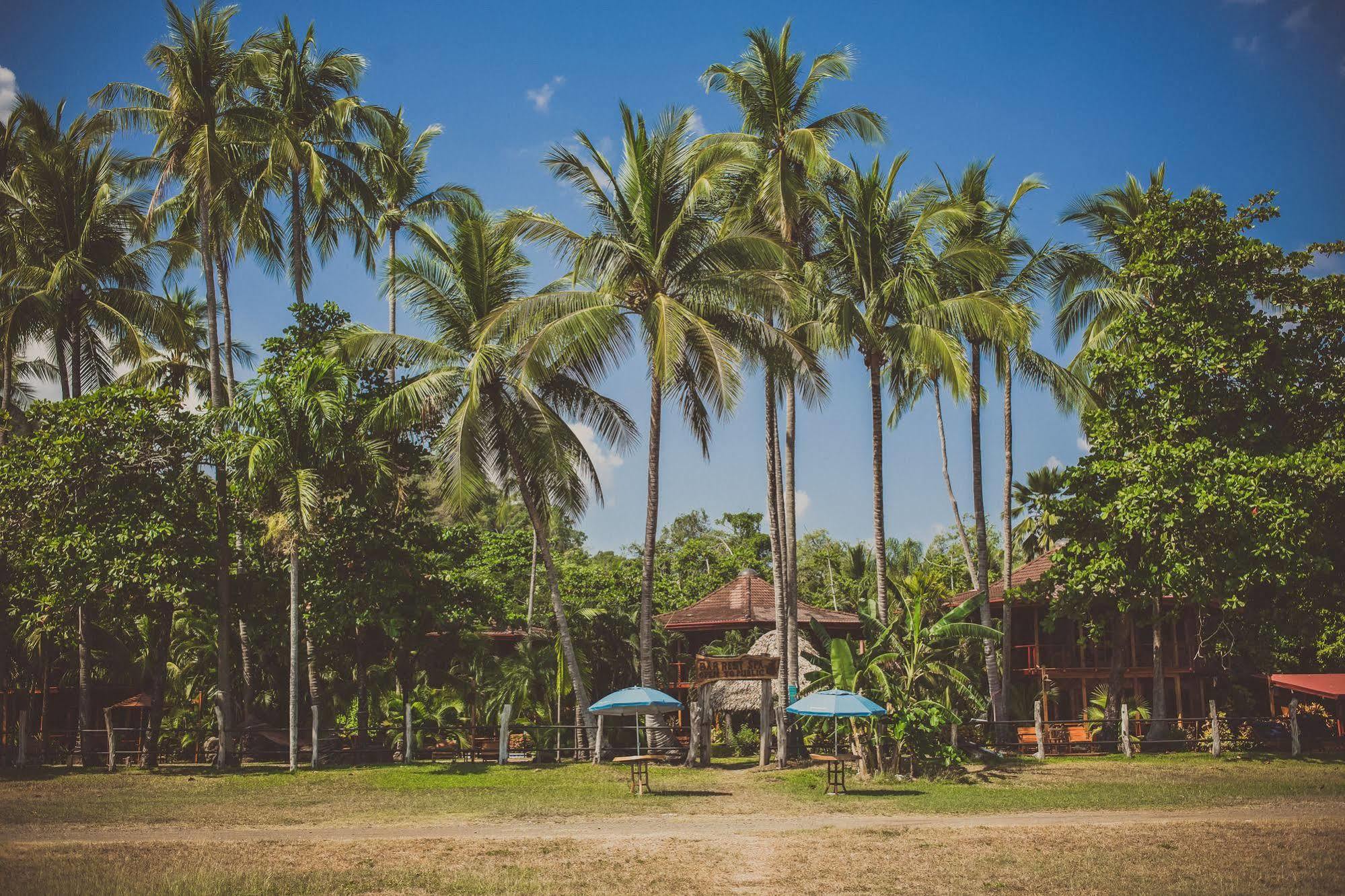 Tambor Tropical (adults Only) Hotel 3*
