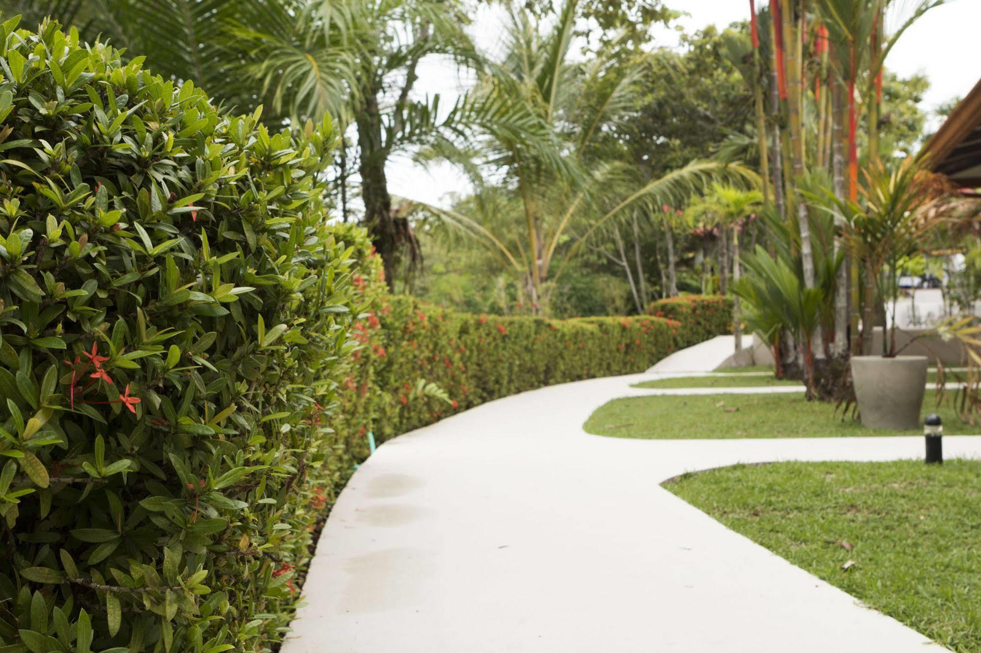 Alma De Hotel Ojochal