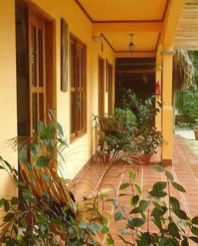 Hotel Hotel Green