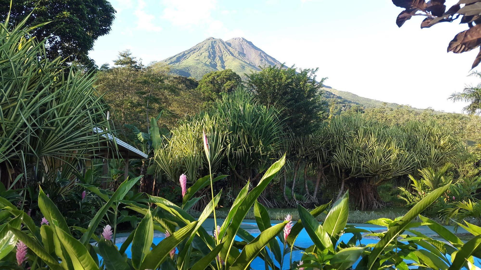Loma Real Hot Springs La Fortuna