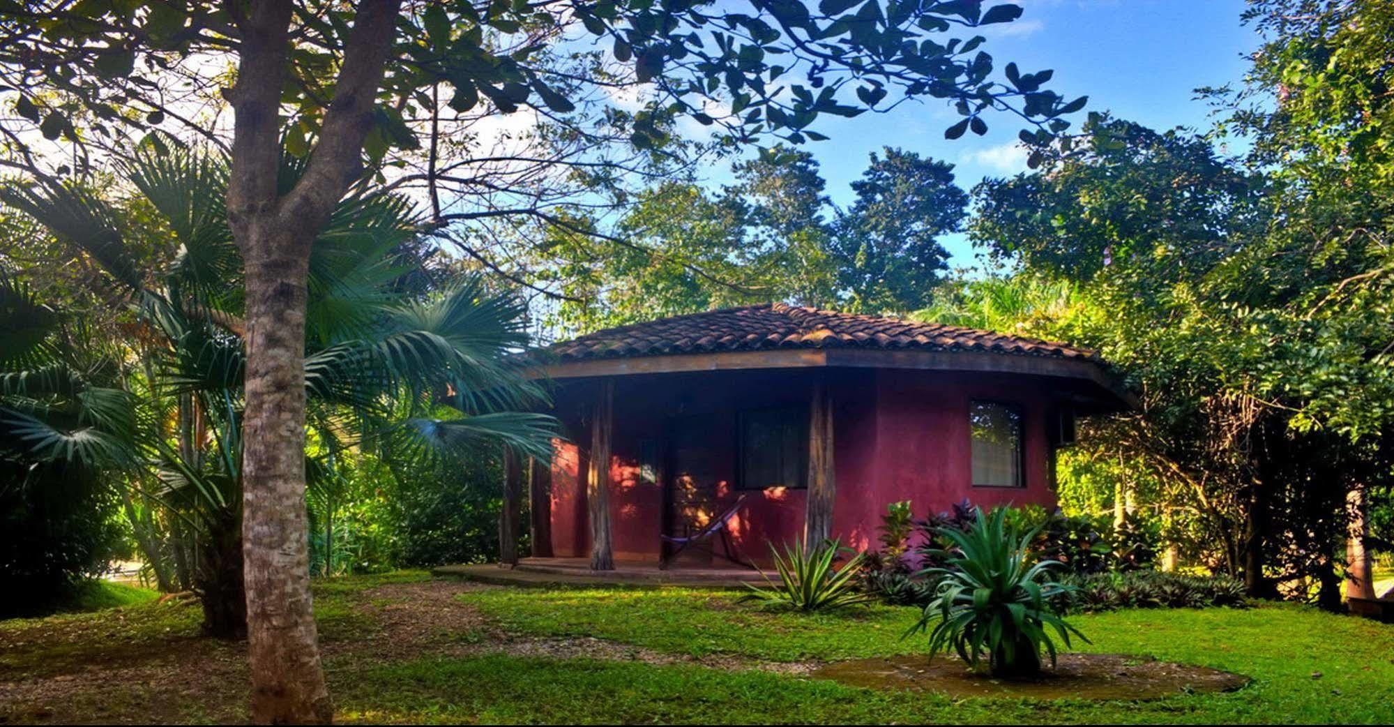 Hotel Mauna Loa Pinilla