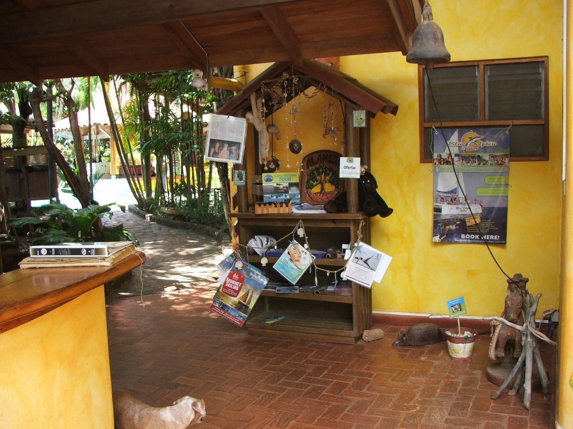 Luna Llena Bed & Breakfast Tamarindo