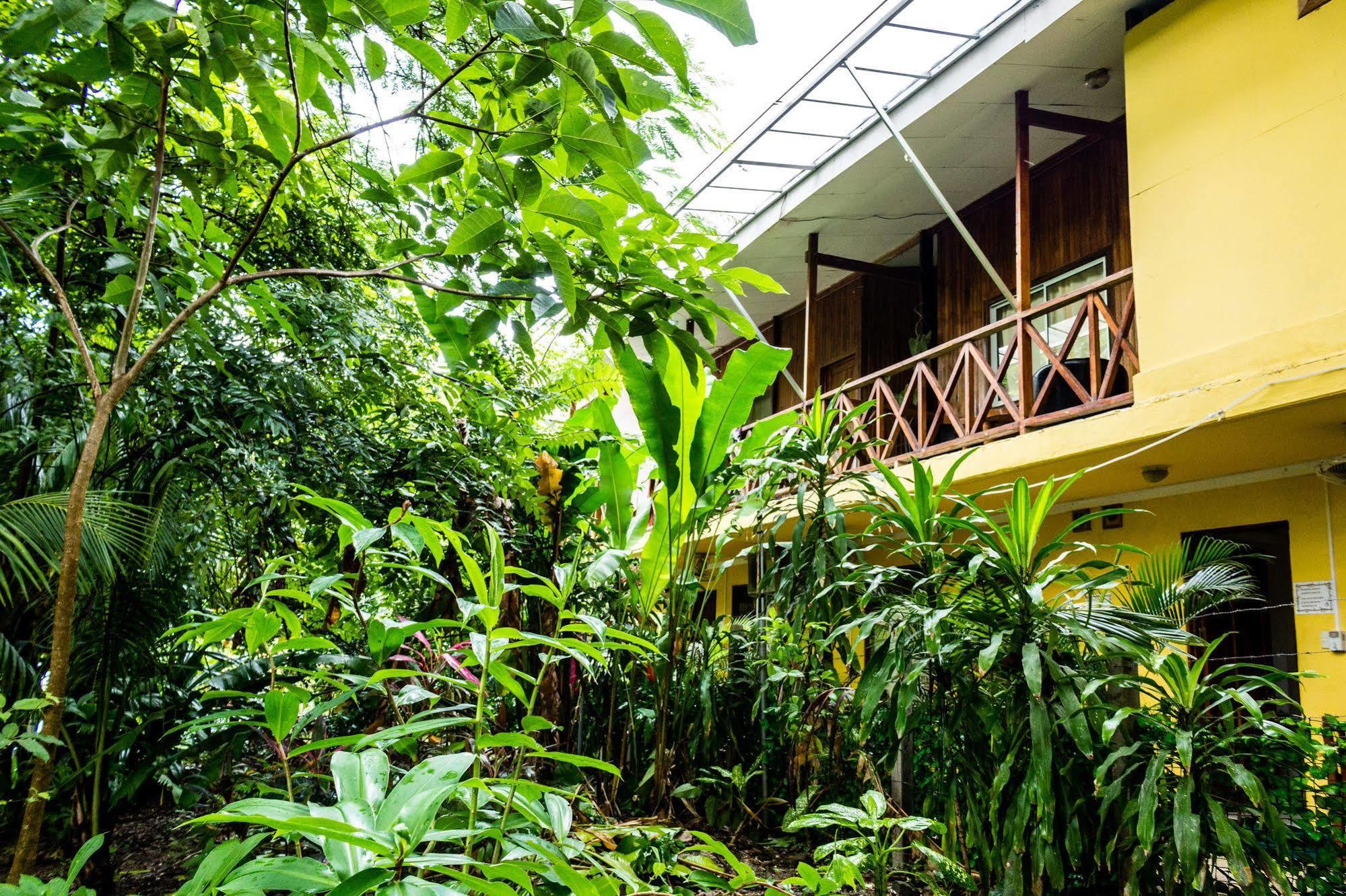 Hotel Aurora * Montezuma