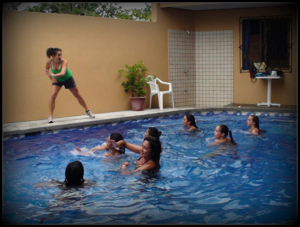 Blue Palm 2*