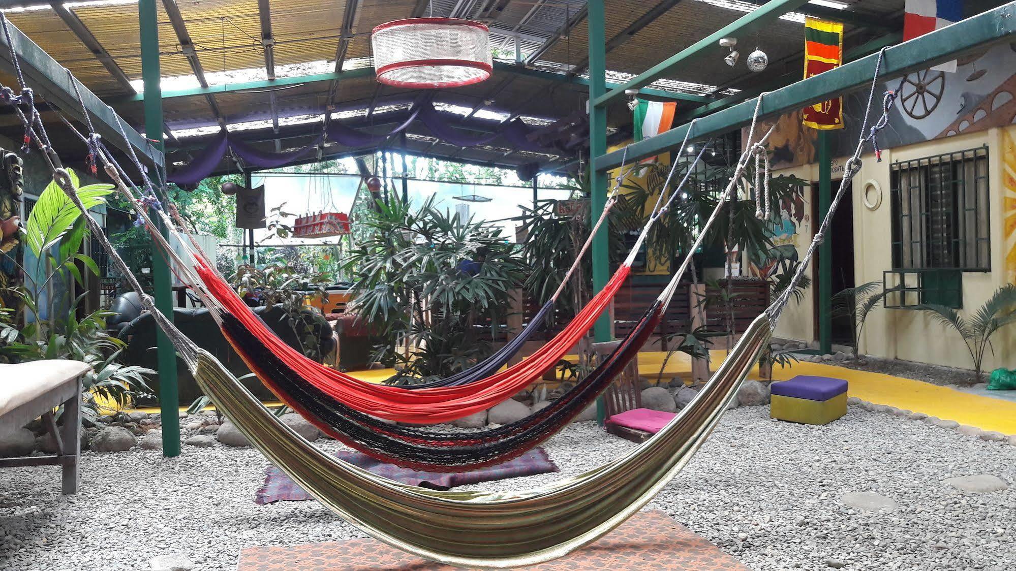 Tucan