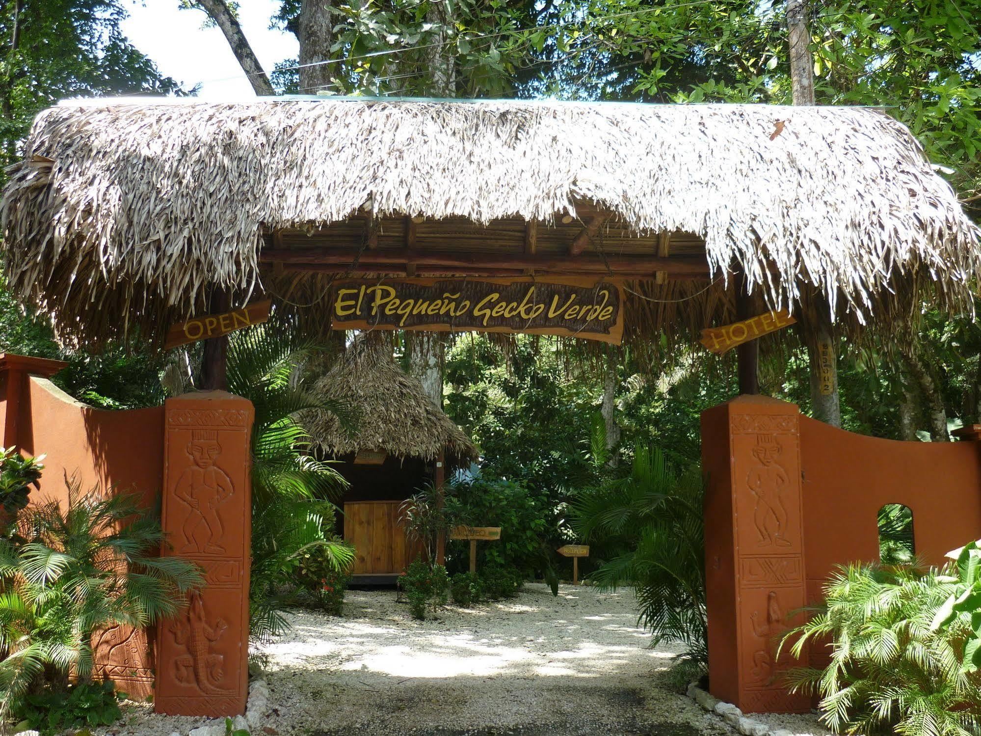 Hotel El Pequeno Gecko