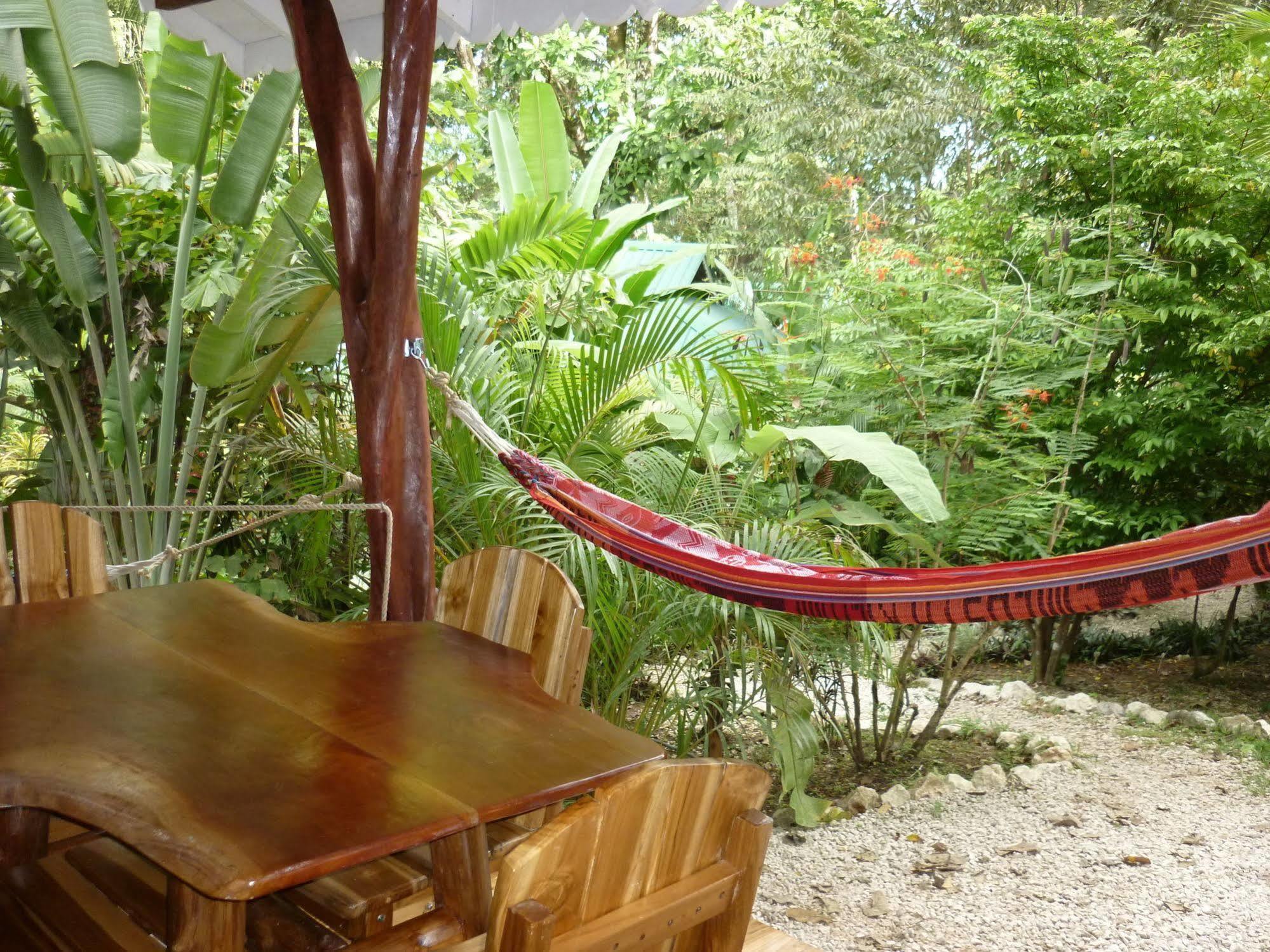 Hotel El Pequeno Gecko