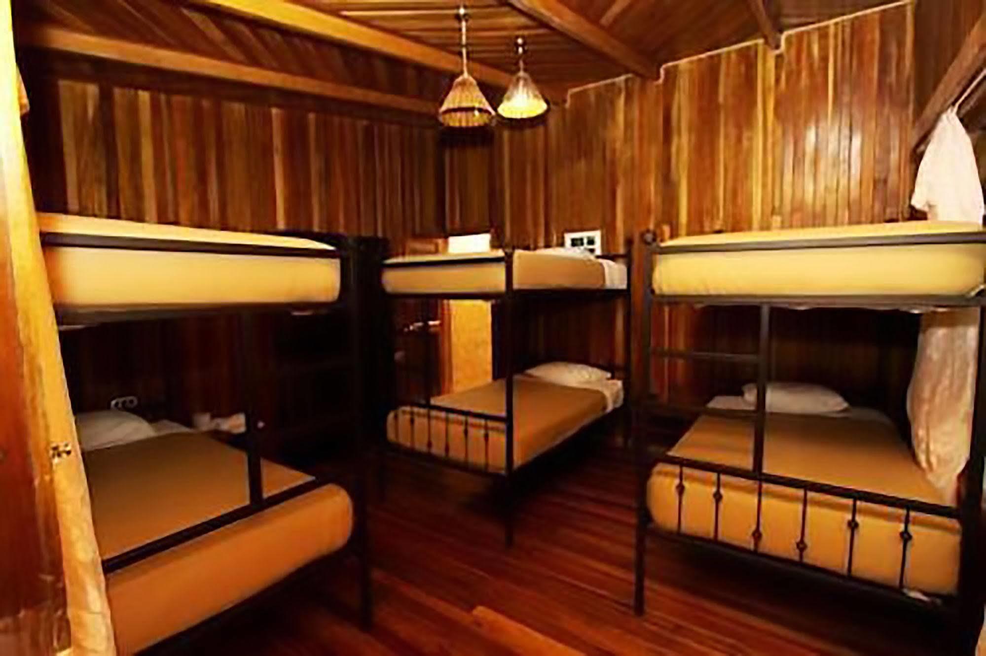 Jaguarundi Jungle - Hotel Monteverde