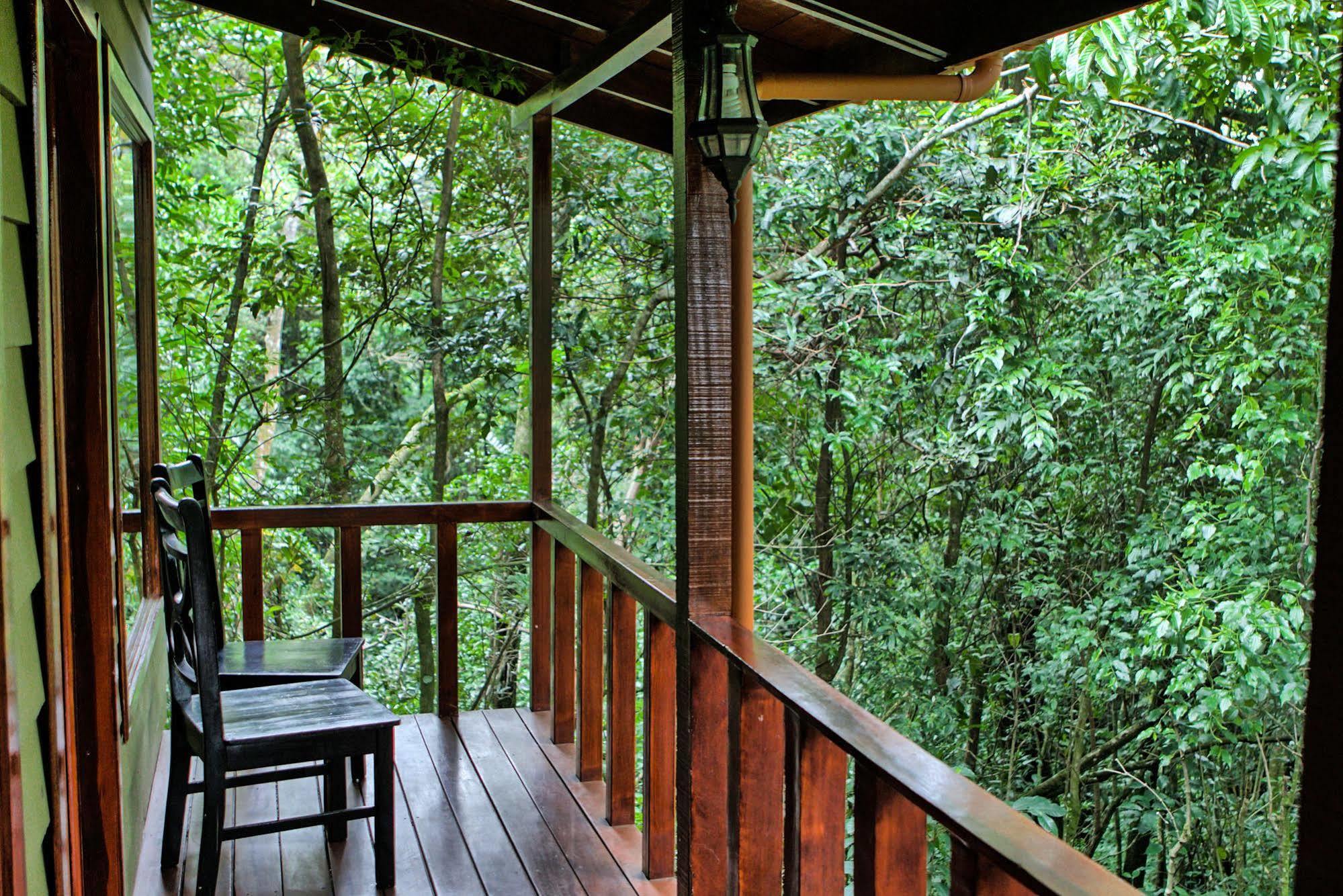 Hotel Jaguarundi Jungle - Monteverde