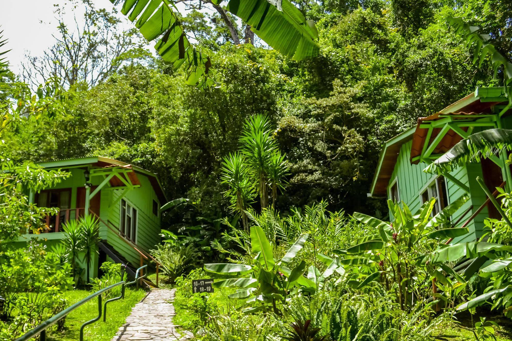 Hotel Jaguarundi Jungle -