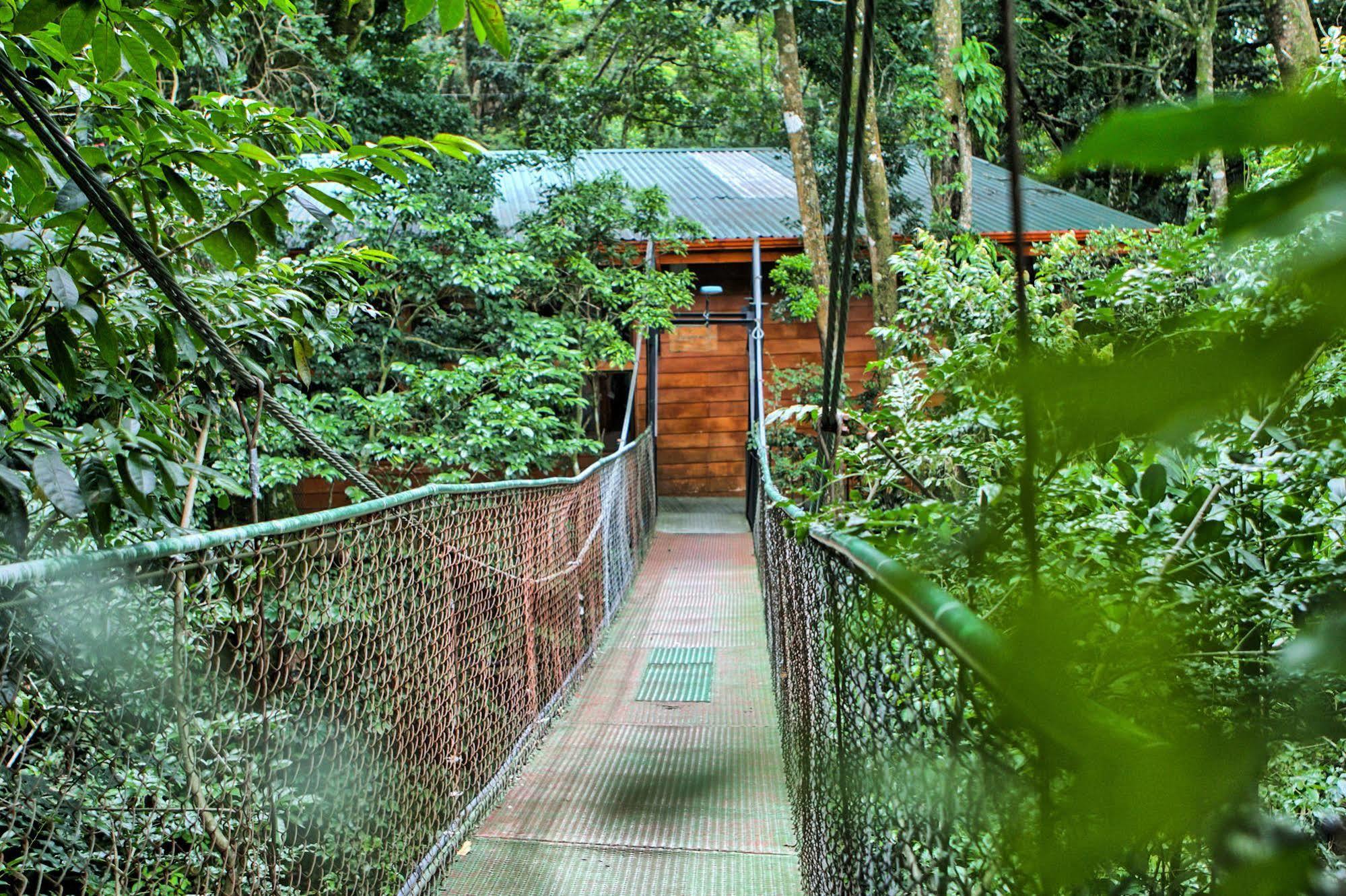 Hotel Jaguarundi Jungle - Monteverde