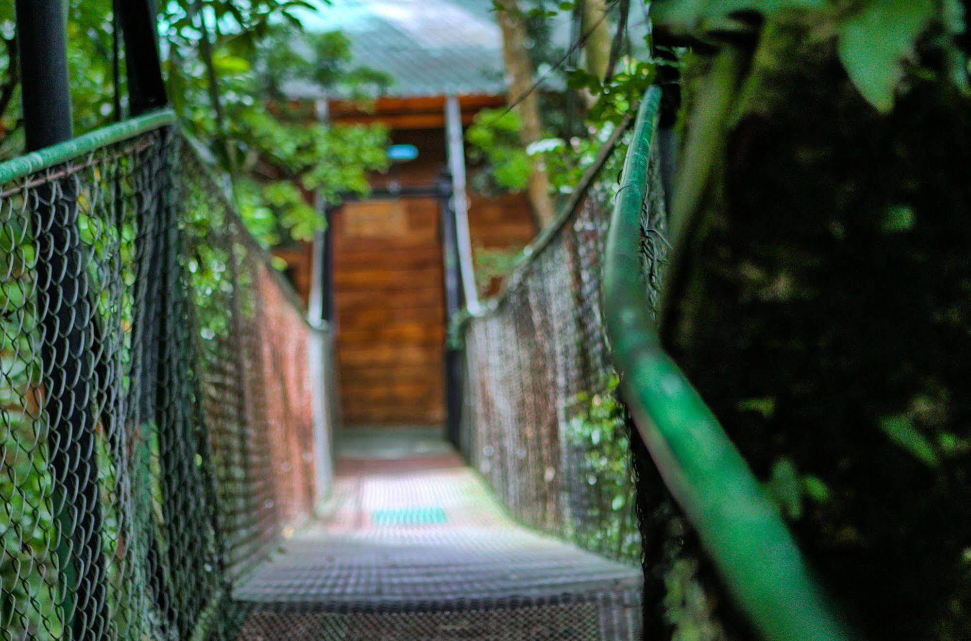 Hotel Jaguarundi Jungle -