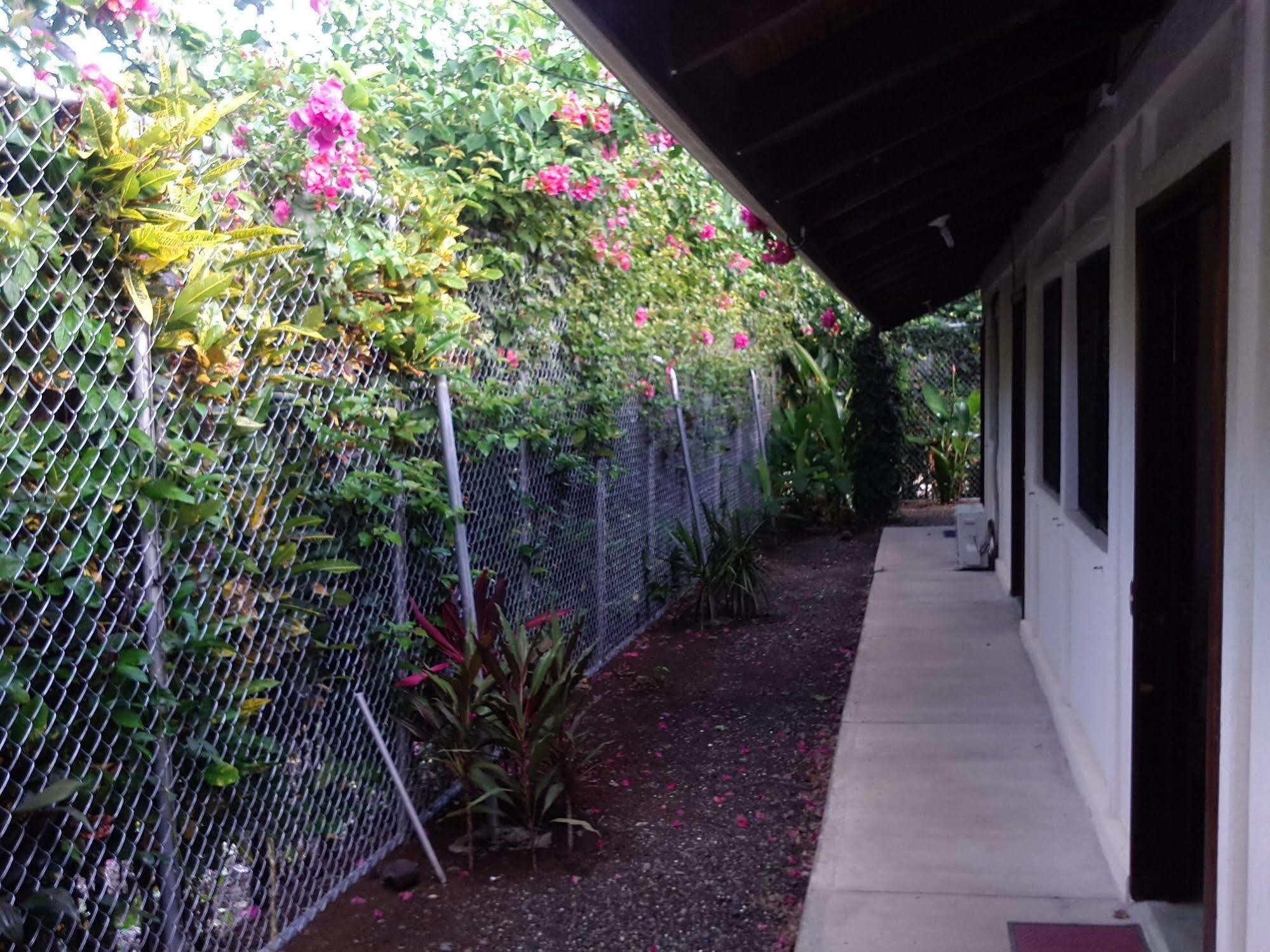 Cabinas Tropicales Hotel Puerto Jimenez