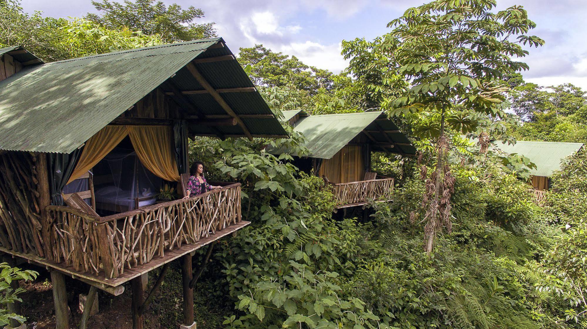 La Tigra Rainforest