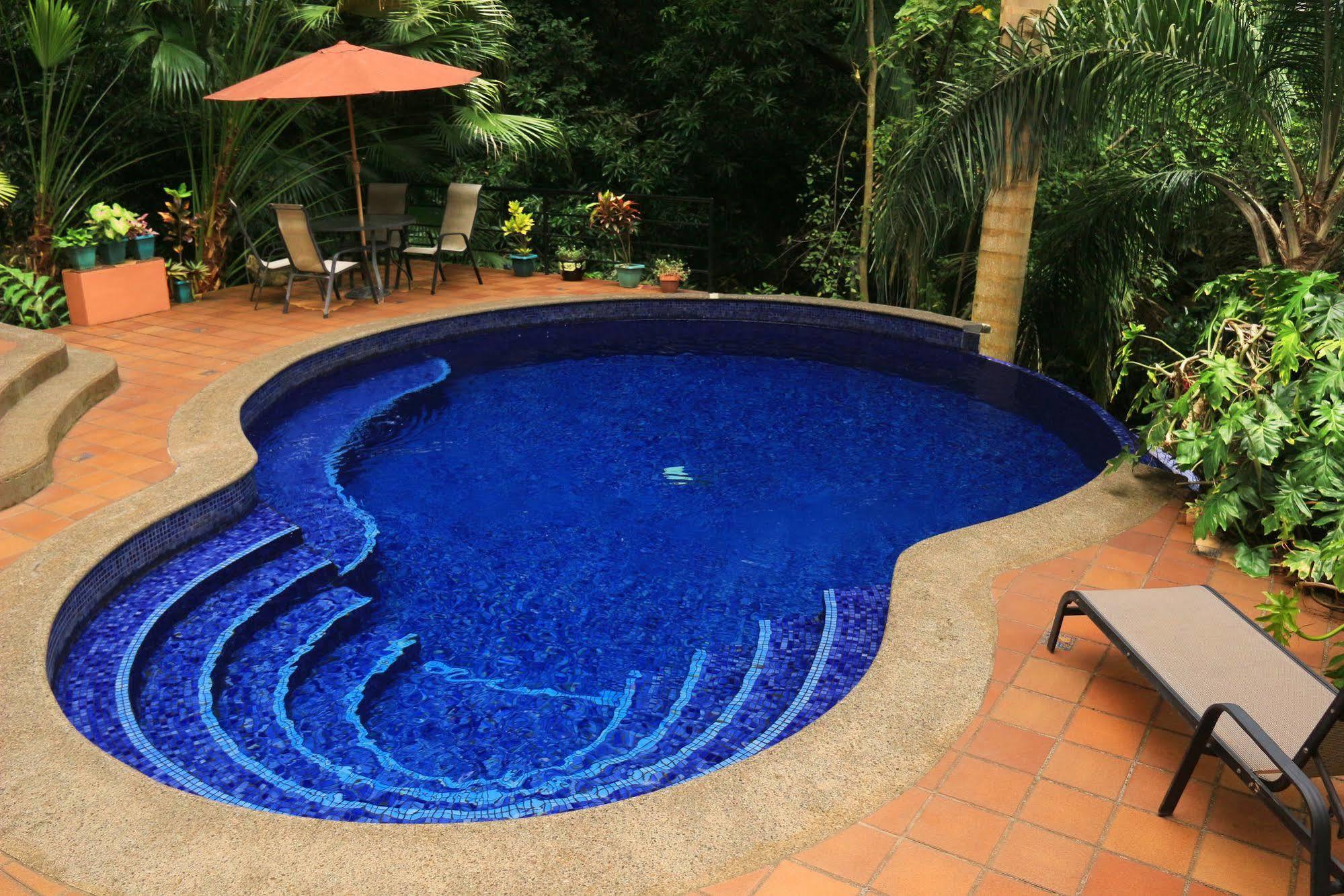 Jungle Vista Boutique Hotel
