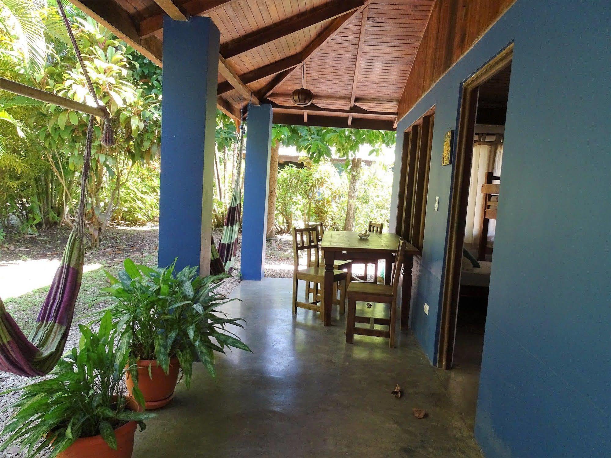 Indigo Yoga Surf Malpais