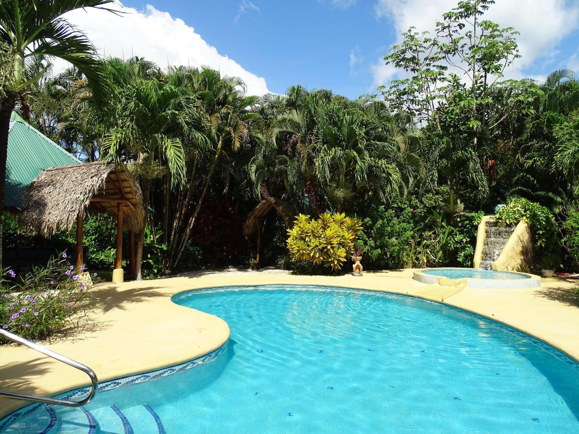 Indigo Yoga Surf Hotel 2*