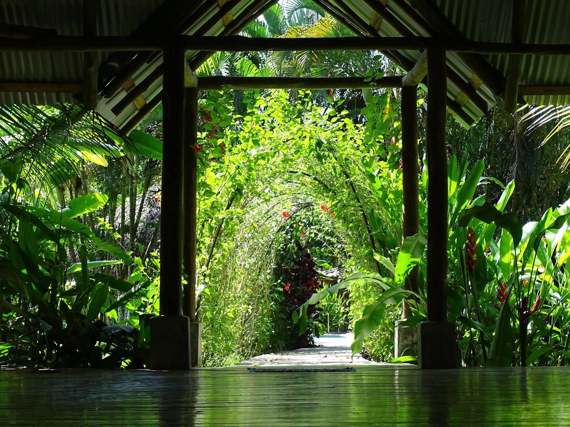 Indigo Yoga Surf Hotel Malpais