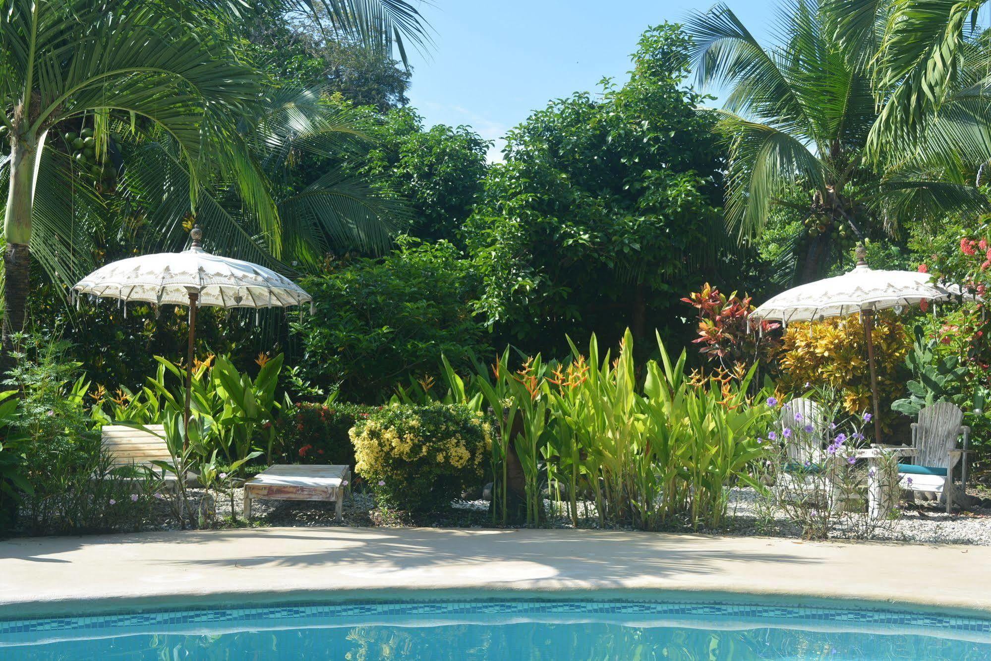 Hotel Indigo Yoga Surf