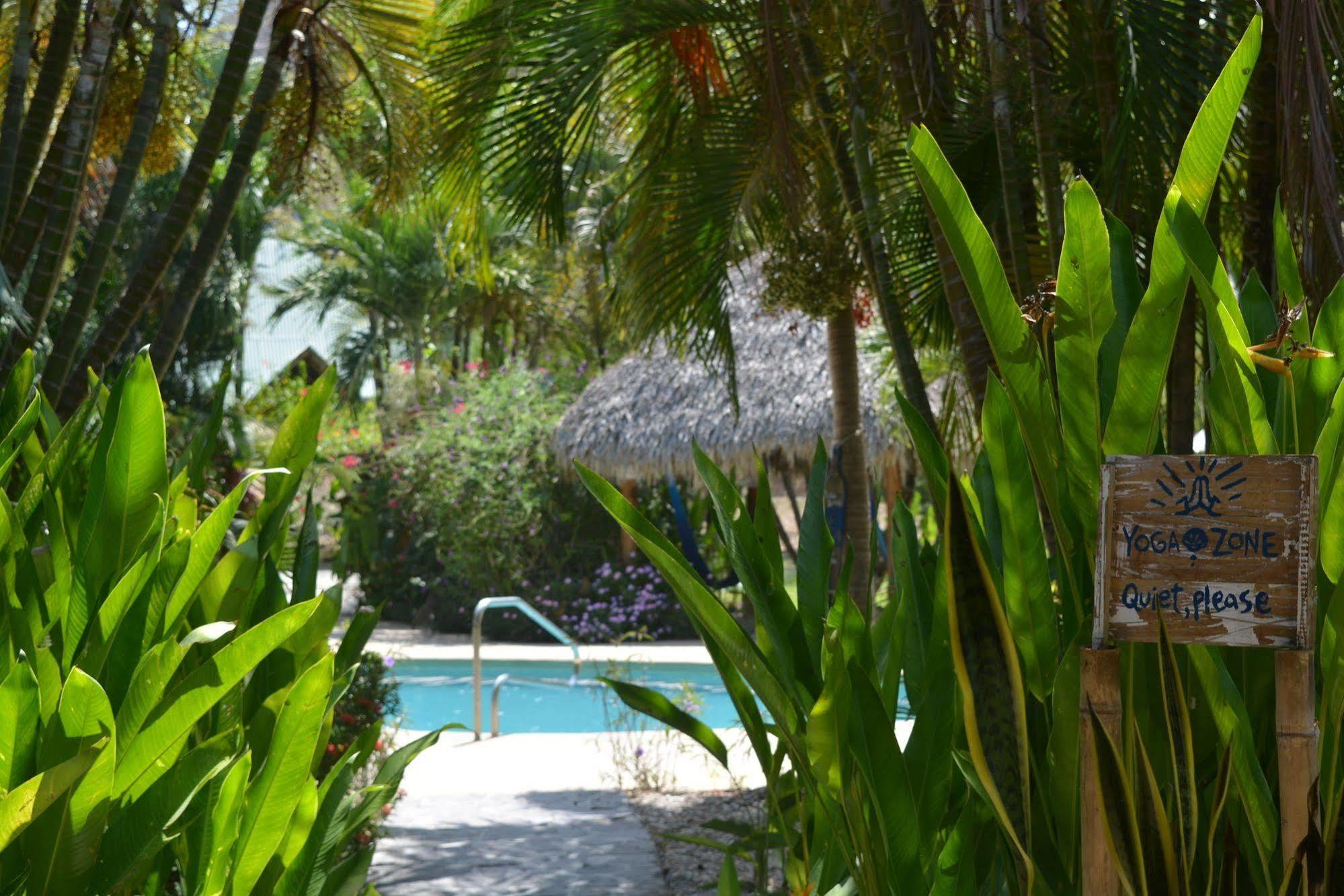 Indigo Yoga Surf Hotel 2*