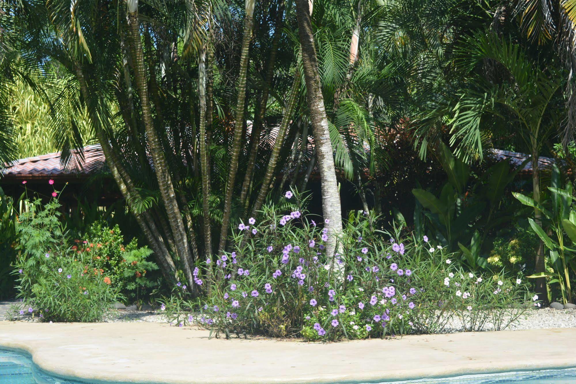 Hotel Indigo Yoga Surf 2*