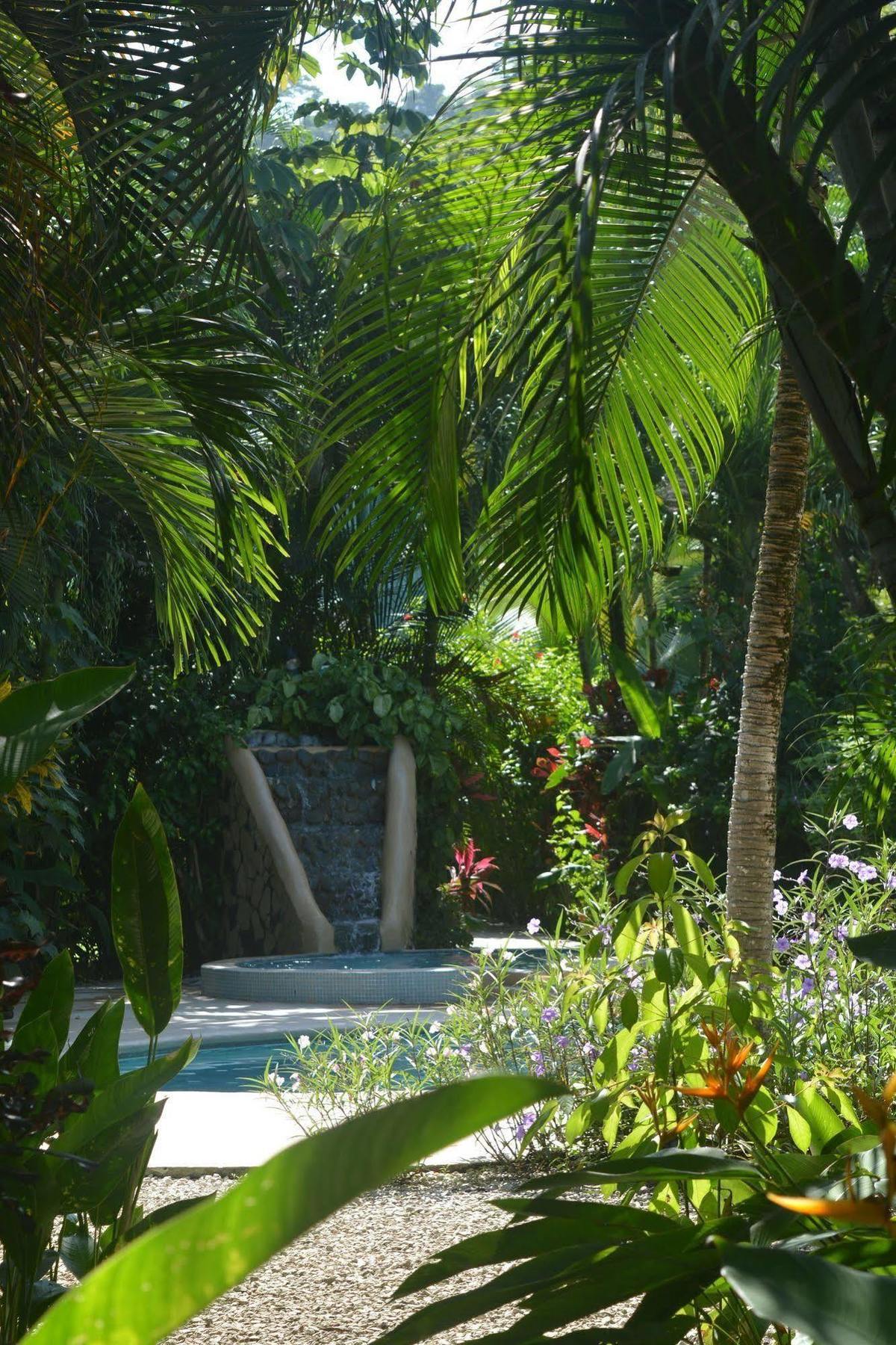 Hotel Indigo Yoga Surf Malpais