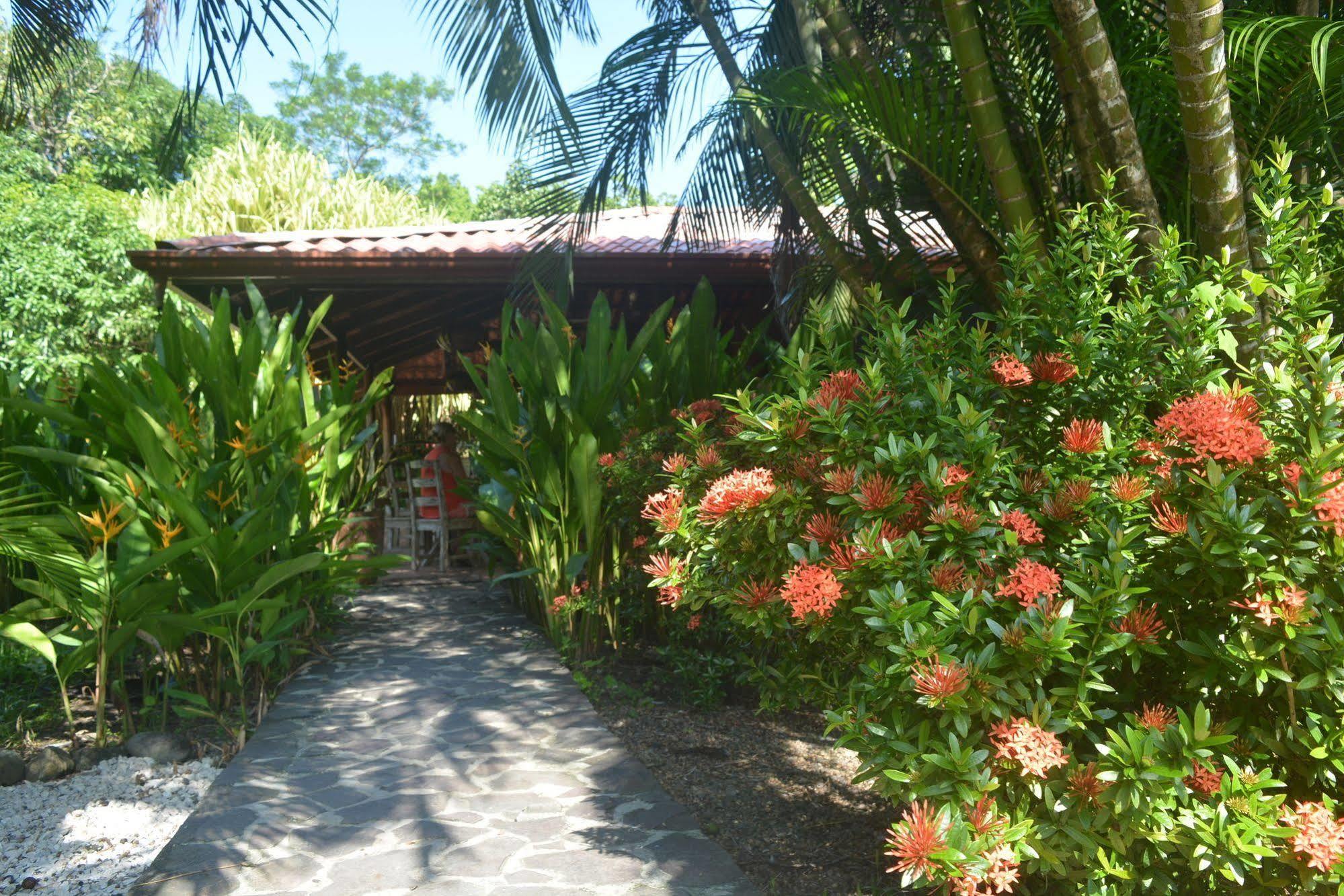 Hotel Indigo Yoga Surf Malpais