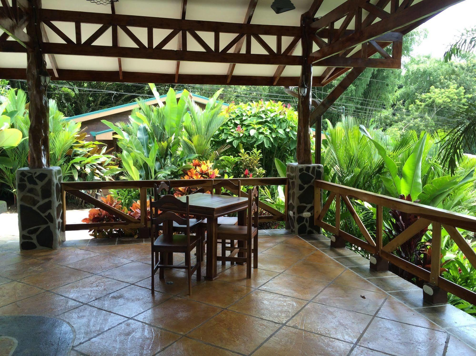 Mussaenda, Arenal La Fortuna