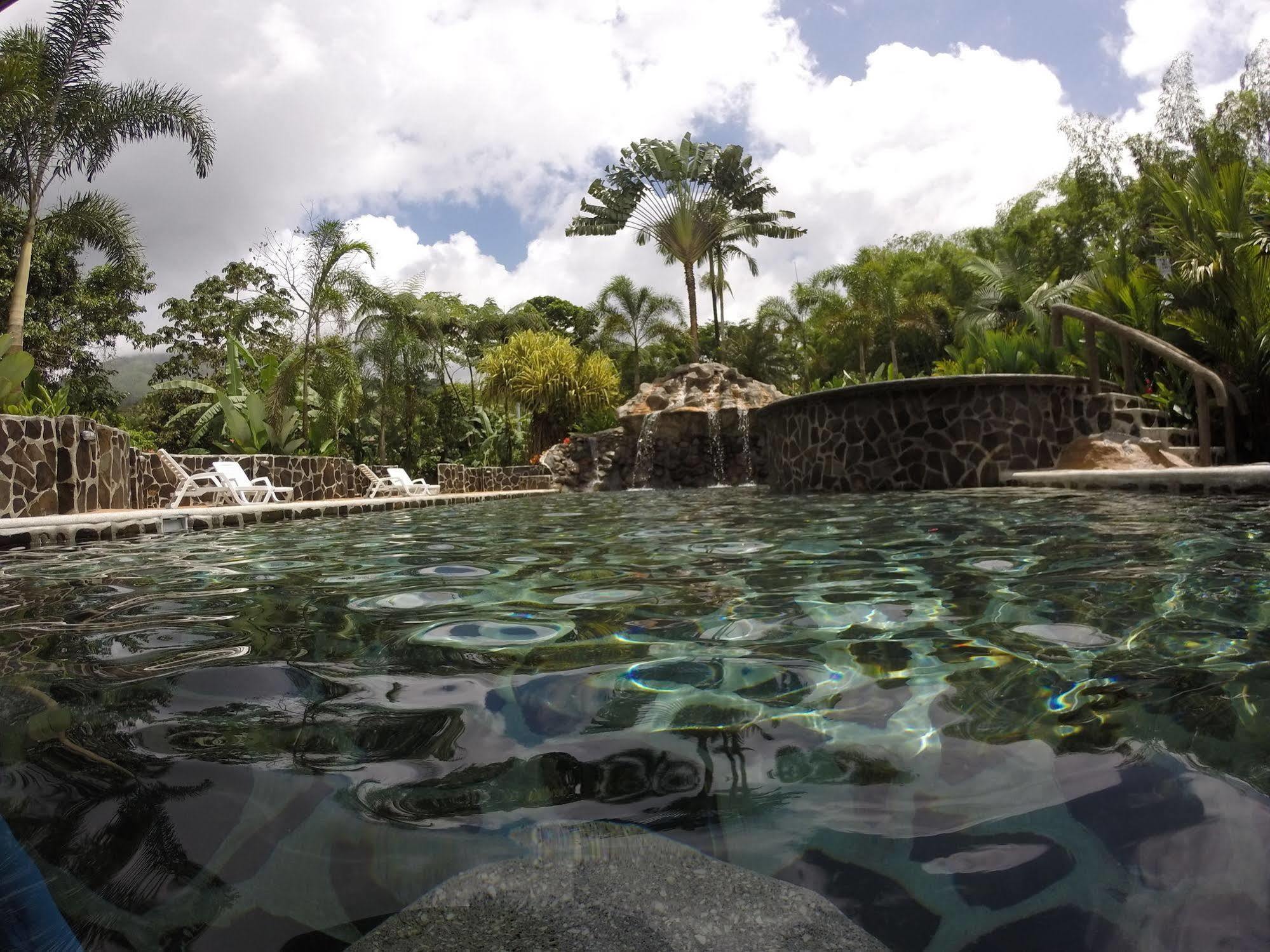 Mussaenda, Arenal Hotel La Fortuna