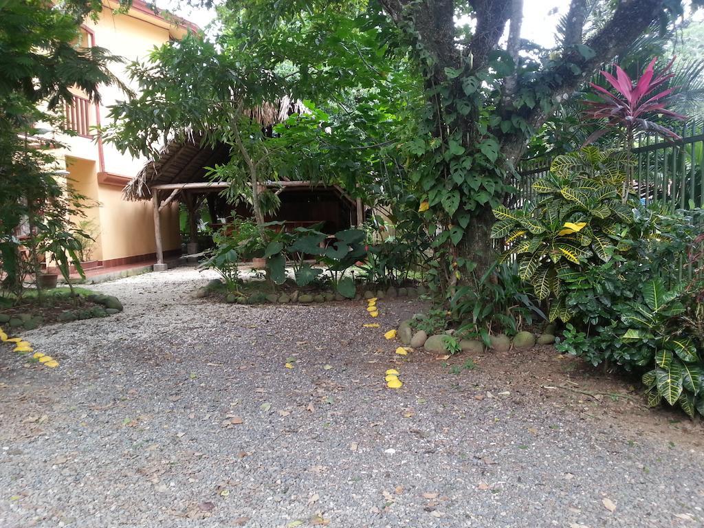 Hotel Hotel Green 3*
