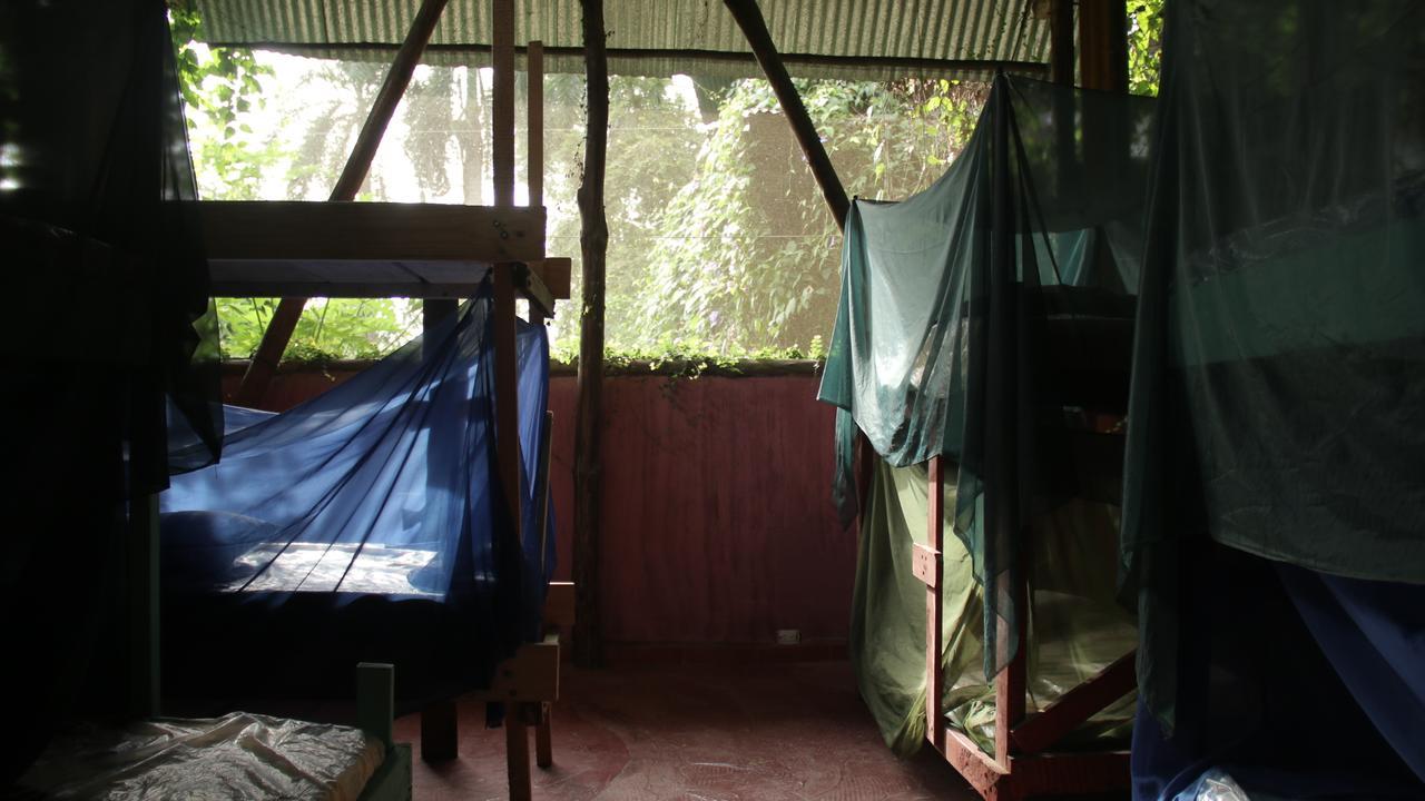 Piramys And Tours In Dominical