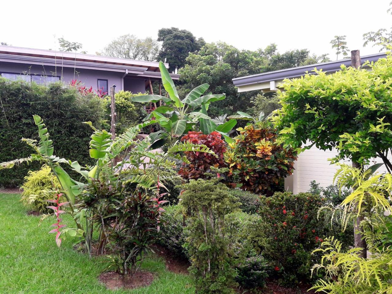 Eden Tica Bed & Breakfast