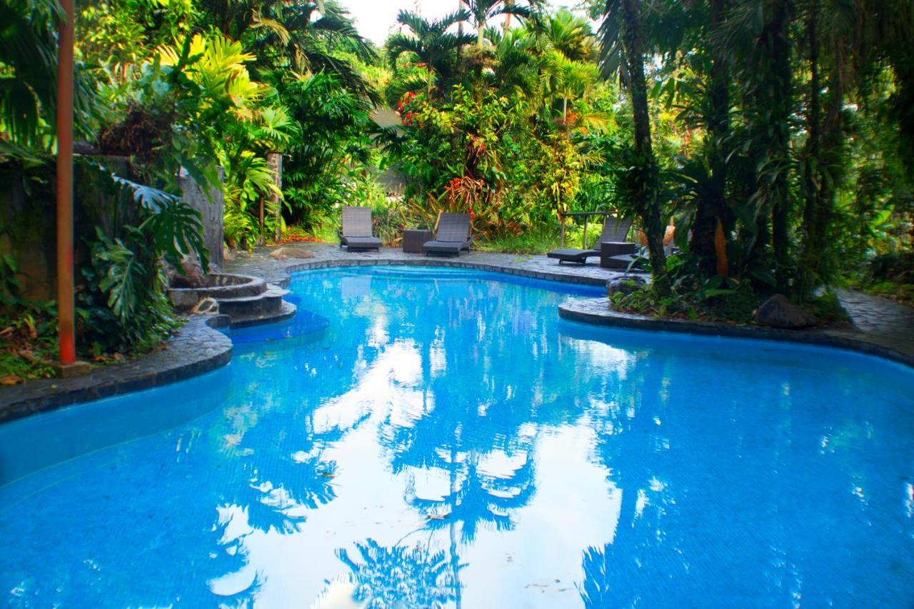 Hotel Lost Iguana And La Fortuna