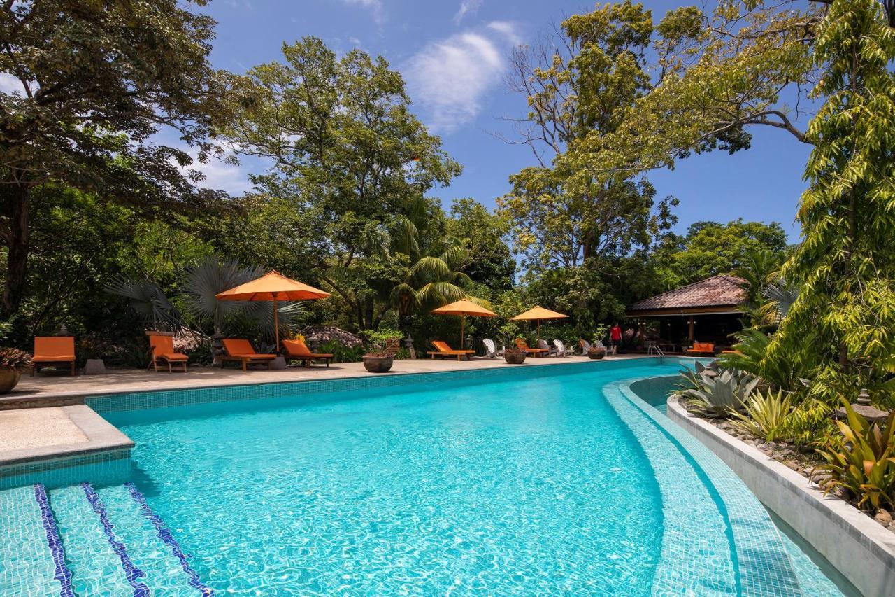 Bodhi Tree Yoga Resort