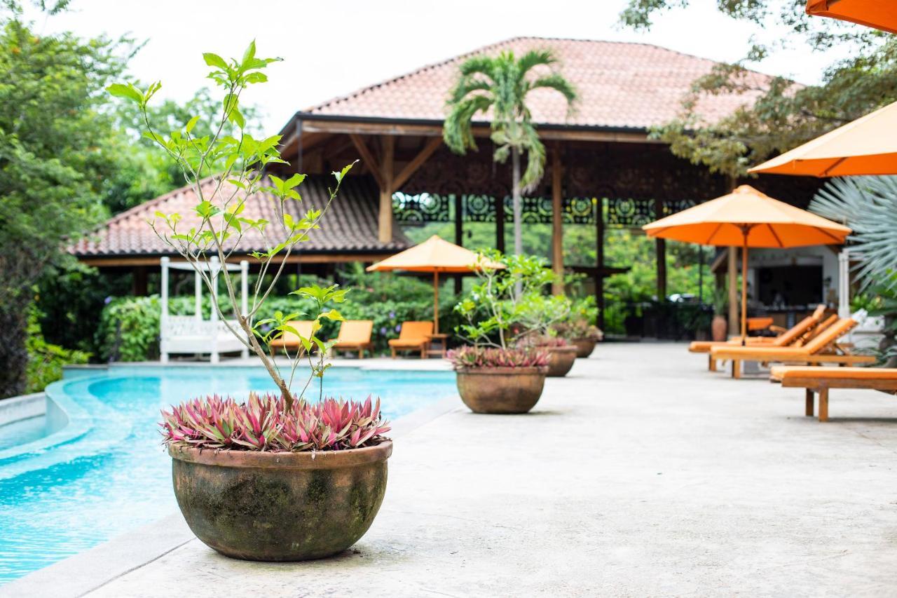 Resort Bodhi Tree Yoga 5*